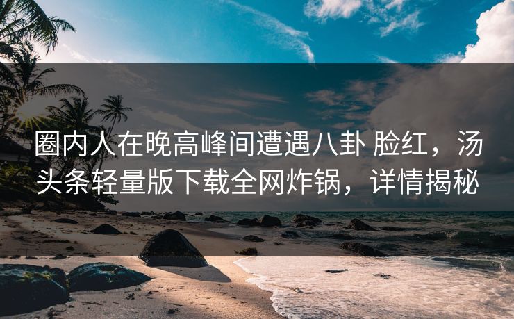 圈内人在晚高峰间遭遇八卦 脸红，汤头条轻量版下载全网炸锅，详情揭秘
