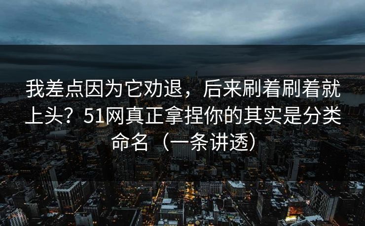 我差点因为它劝退，后来刷着刷着就上头？51网真正拿捏你的其实是分类命名（一条讲透）